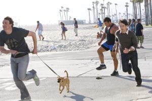 I Love You, Man Puggle on beach